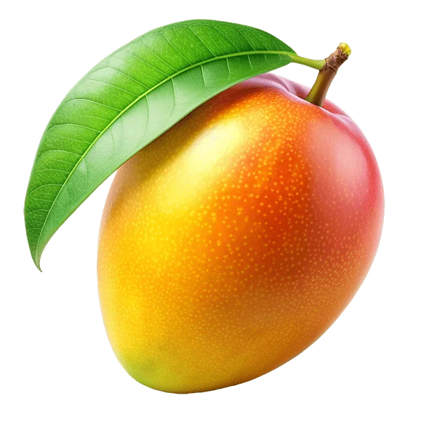 Fresh Mango